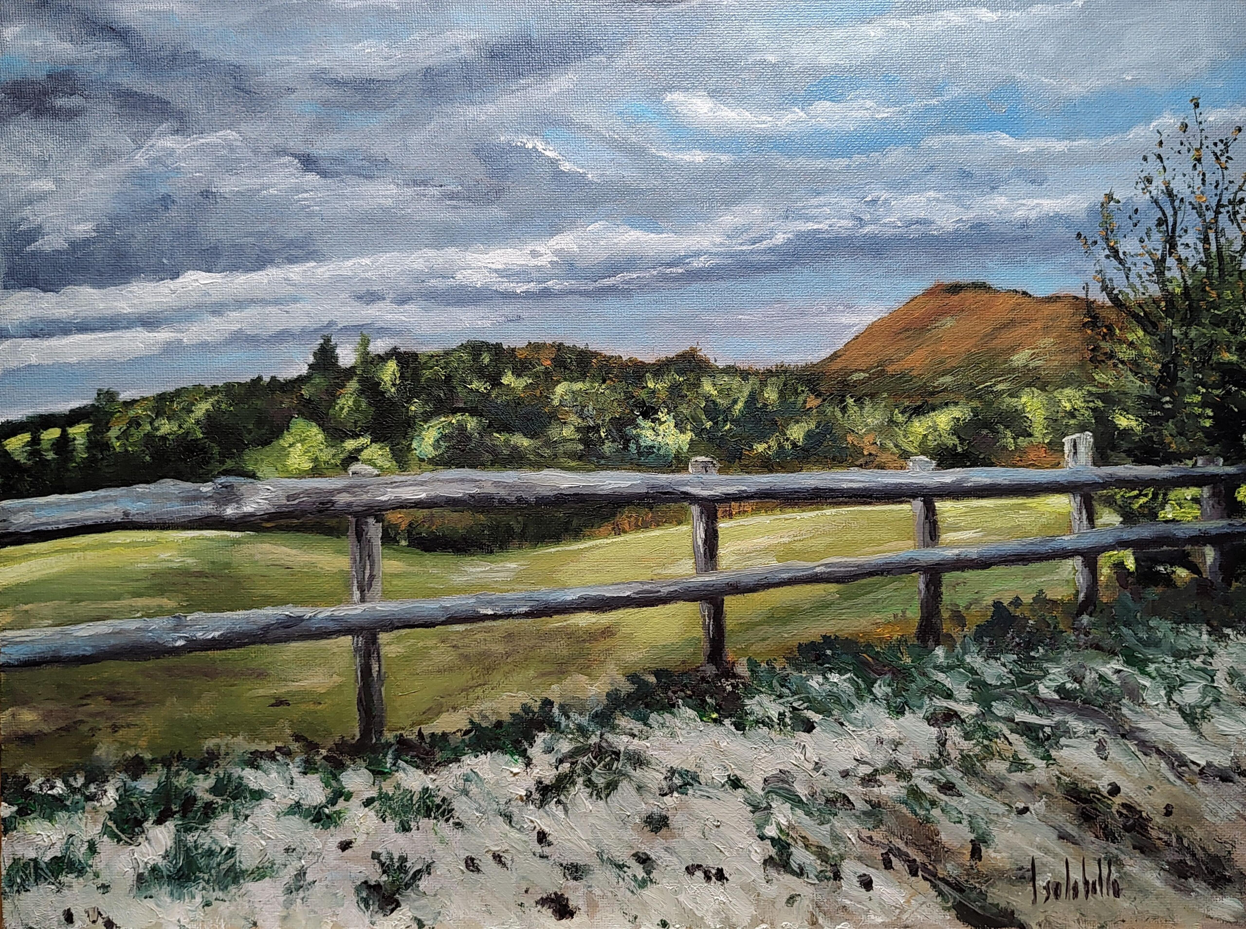 🔴 CAMPAGNA LOMBARDA - 40x30cm oil on canvas board