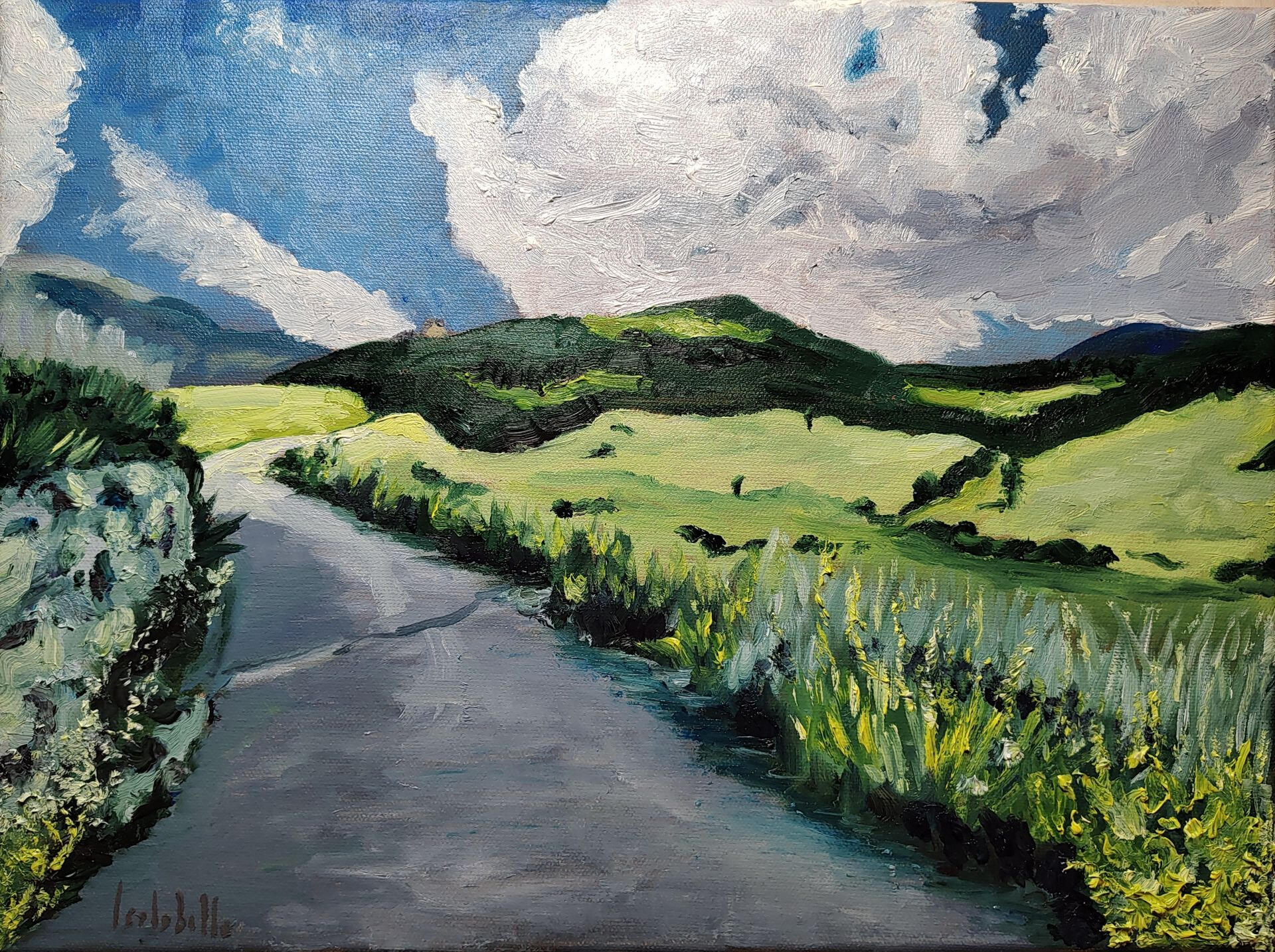 🔴 STRADA DI MONTAGNA - 40x30cm oil on canvas